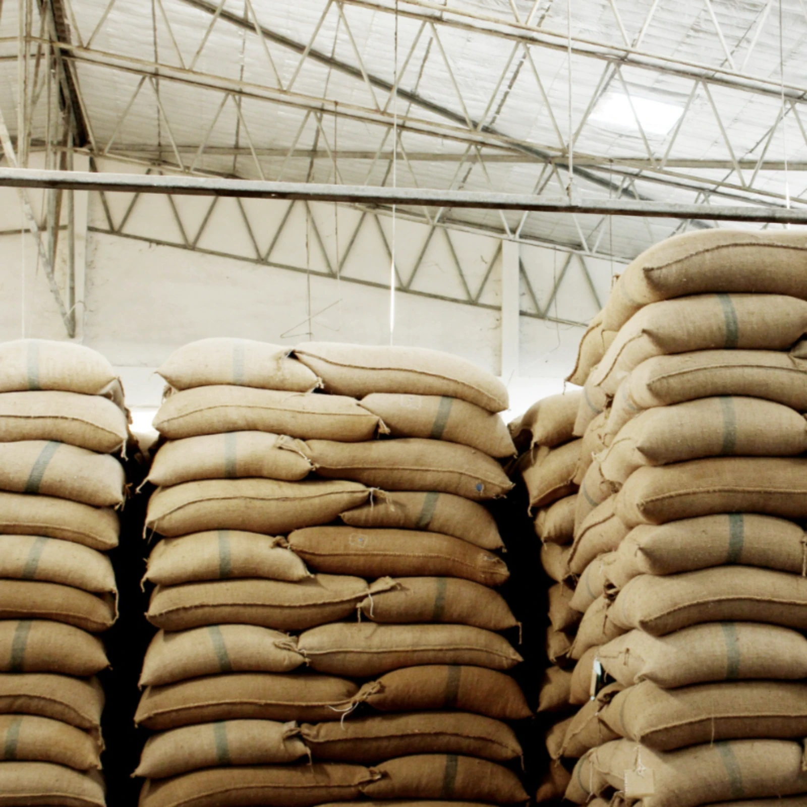 Animal Feed Supply